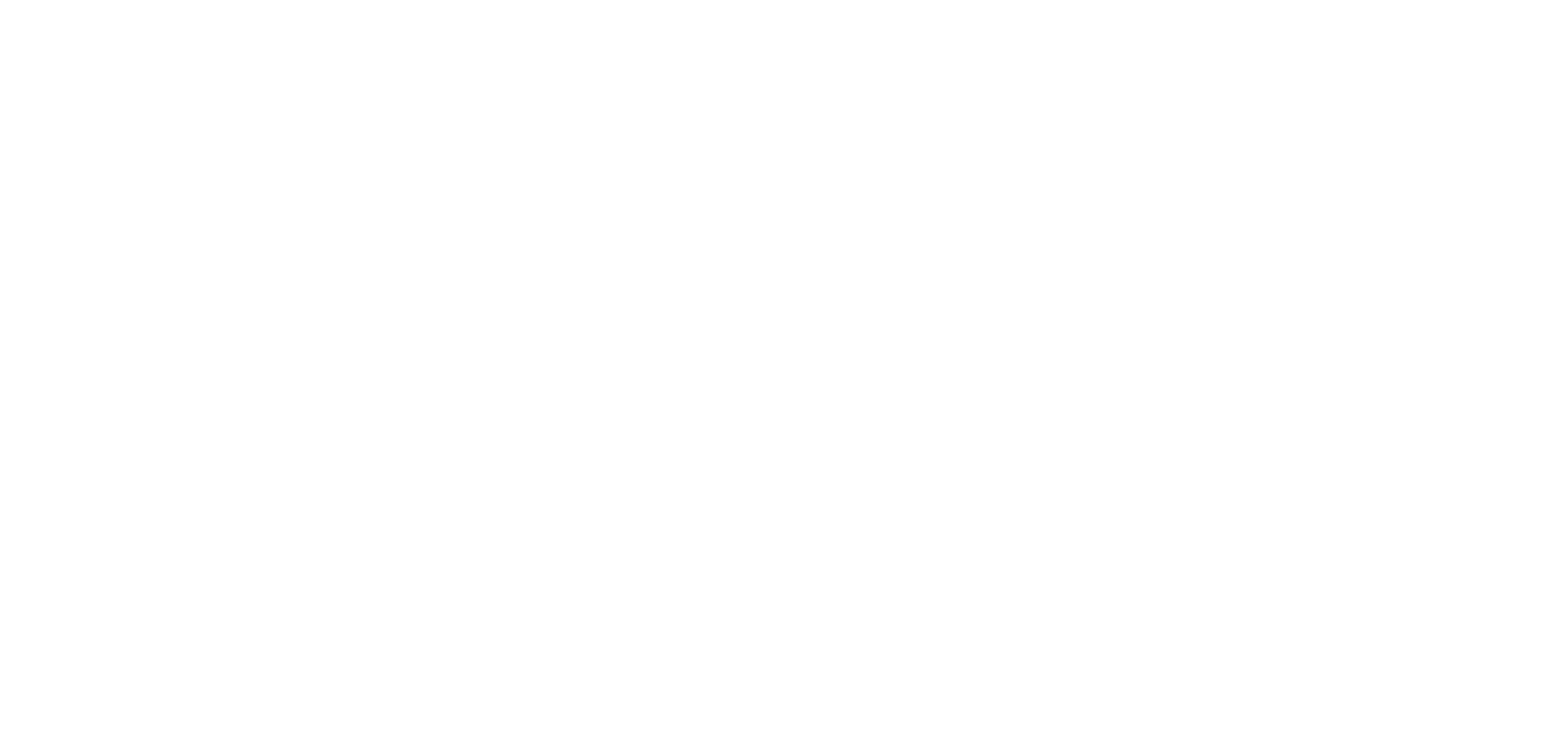 Champion Health logo — All white