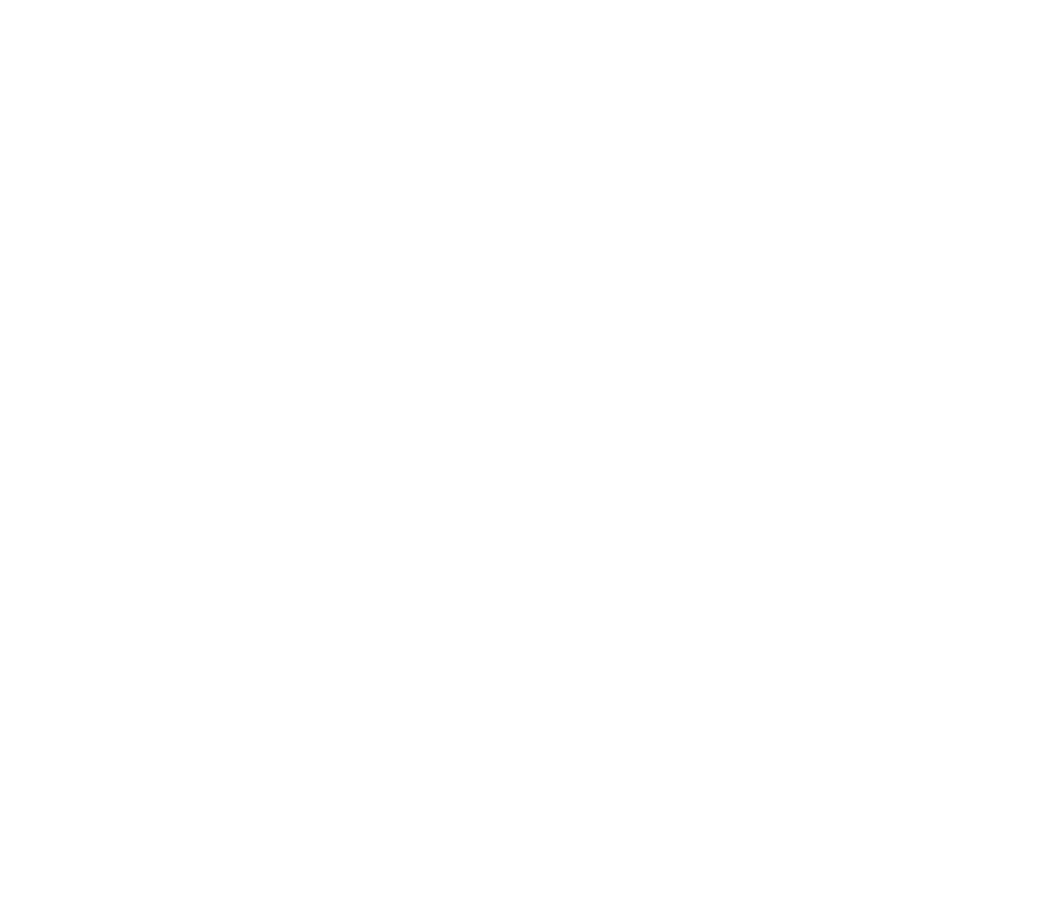 White icon — AffordaCare Insurance