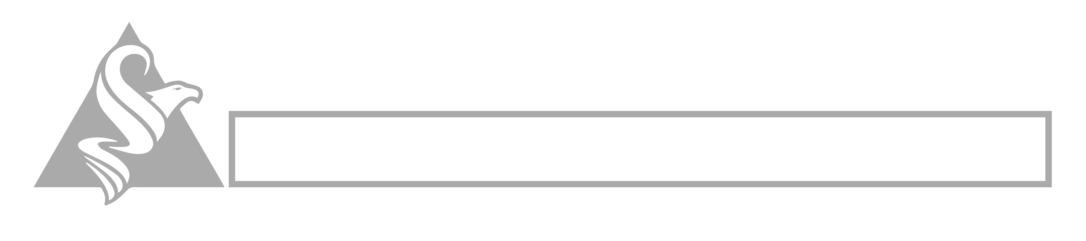 Gray & white logo — AffordaCare Insurance